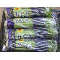 Vegetable Good Quality Natural Fresh Celery (750g-1250g)